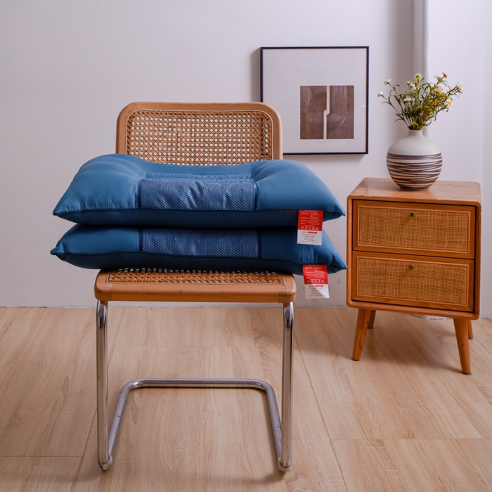 91家纺网 家纺一手货源 找家纺 芯元素 2024新款单边磁石荞麦保健枕 单边磁石荞麦-蓝