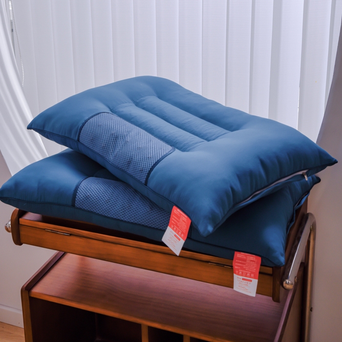 91家纺网 家纺一手货源 找家纺 芯元素 2024新款单边磁石荞麦保健枕 单边磁石荞麦-蓝