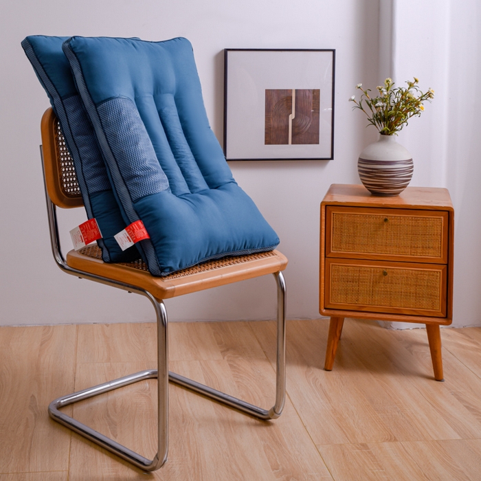 91家纺网 家纺一手货源 找家纺 芯元素 2024新款磁石荞麦保健枕 双边磁石荞麦-蓝