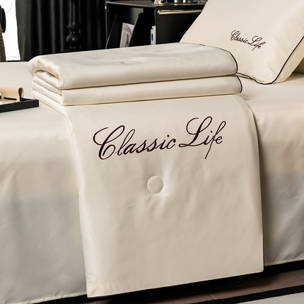 91家纺网 家纺一手货源 找家纺 （总）益多眠 2024爆款水洗真丝夏被四件套冰丝夏被轻奢夏被空调被羽毛夏被四件套绣花夏被