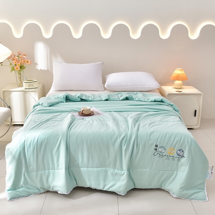 91家纺网 家纺一手货源 找家纺 （总）易展家居 2025新款薄荷空调夏凉被礼品被