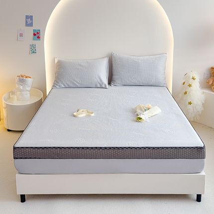 91家纺网 家纺一手货源 找家纺 邦妮家纺 2024新款A类凉感丝床笠凉席床垫30公分内可用 花语-灰