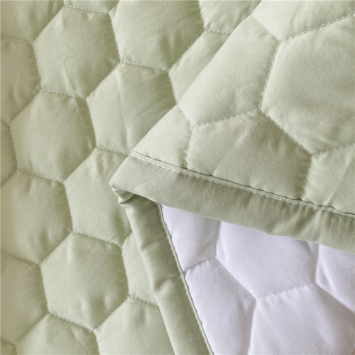 91家纺网 家纺一手货源 找家纺 恋绒家纺 A类刺绣款床褥学生软床垫子床护垫软垫（图1） 可爱熊-抹茶绿