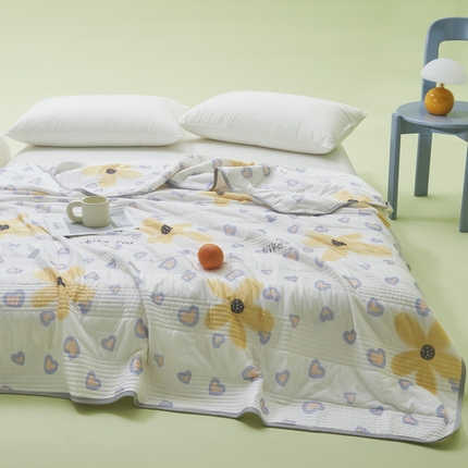 LIFE.丽芙 2024年新品韩式风凉感丝夏被-跑量 寐色