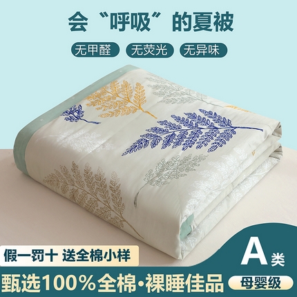 91家纺网 家纺一手货源 找家纺 金柚子2024新款全棉印花夏凉被 羽叶漫漫-米