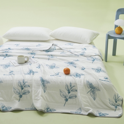 LIFE.丽芙 2024年新品韩式风凉感丝夏被-跑量 花涧