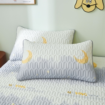 91家纺网 家纺一手货源 找家纺 （总）LIFE.丽芙 2024新款凉感丝乳胶枕套印花款图片一