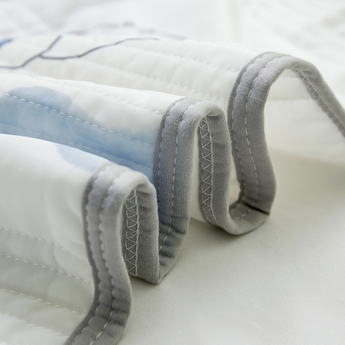 91家纺网 家纺一手货源 找家纺 LIFE.丽芙 2024年新品韩式风凉感丝夏被-跑量 帕恰狗