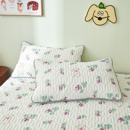 91家纺网 家纺一手货源 找家纺 （总）LIFE.丽芙 2024新款凉感丝乳胶枕套印花款图片一