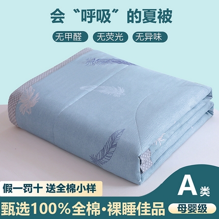 91家纺网 家纺一手货源 找家纺 金柚子2024新款全棉印花夏凉被 飞羽
