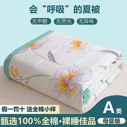 金柚子2024新款全棉印花夏凉被 花语梦-米