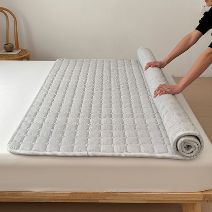 （总）怡甸缘 2024新款加厚磨毛软床褥床垫学生床垫