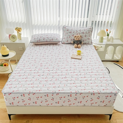 恒尚居 2024新款小清新印花水洗棉大豆夹棉床笠 小樱桃