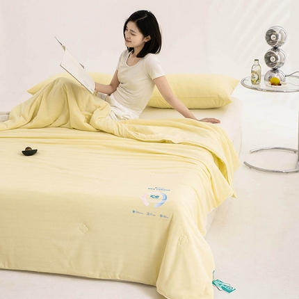 91家纺网 家纺一手货源 找家纺 （总）典冠 （有质检）2024新一代凉感抗菌提花夏被空调被夏被三件套（提供买家秀）