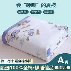 91家纺网 家纺一手货源 找家纺 金柚子2024新款全棉印花夏凉被 红袖添香,红袖添香