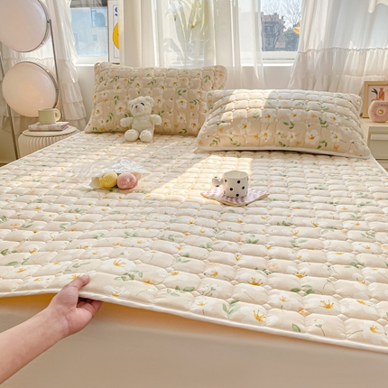 萌飞2024新款全棉新疆棉花夹棉床垫加厚床褥垫被三件套印花 伊莲恩-咖