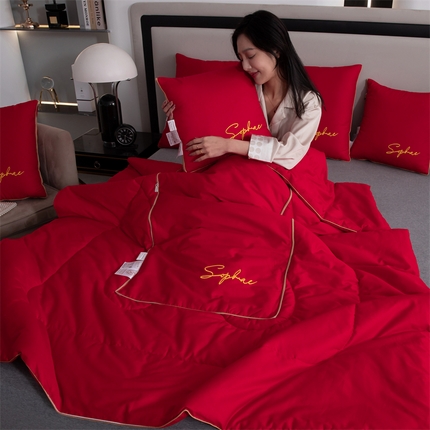 91家纺网 家纺一手货源 找家纺 （总）照世家纺 2024新款时尚简约抗菌棉抱枕被