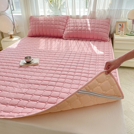 （总）萌飞2024新款全棉新疆棉花夹棉床垫薄款防滑垫 床褥垫被三件套-纯色