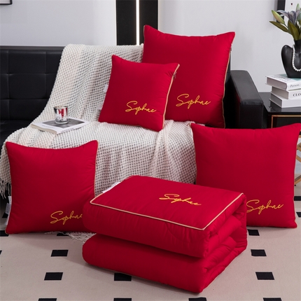 91家纺网 家纺一手货源 找家纺 照世家纺 2024新款时尚简约抗菌棉抱枕被 大红