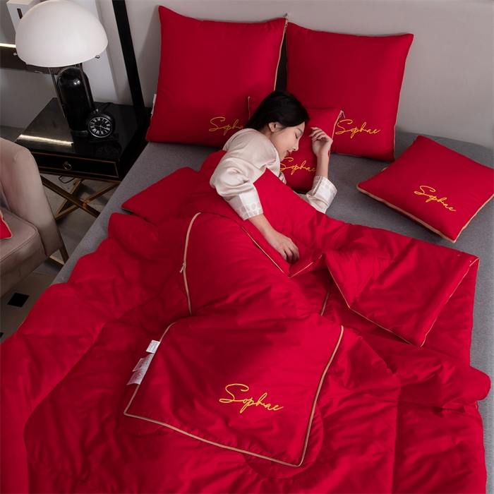 91家纺网 家纺一手货源 找家纺 （总）照世家纺 2024新款时尚简约抗菌棉抱枕被