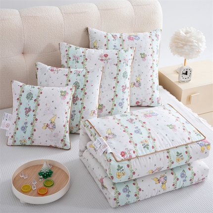 91家纺网 家纺一手货源 找家纺 （总）照世家纺 2025新款全棉印花抗菌棉抱枕被