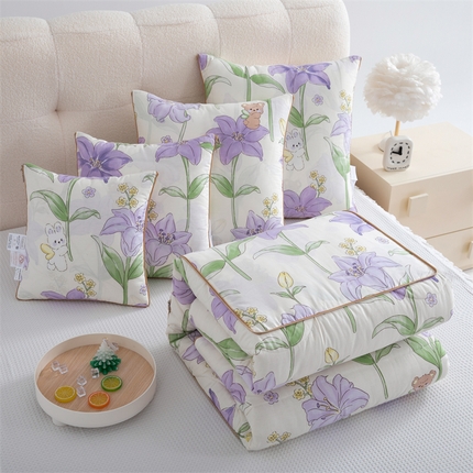 91家纺网 家纺一手货源 找家纺 （总）照世家纺 2025新款全棉印花抗菌棉抱枕被