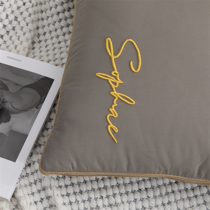 91家纺网 家纺一手货源 找家纺 照世家纺 2024新款时尚简约抗菌棉抱枕被 咖色