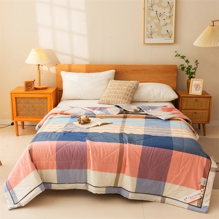 21度C 2024新款A类全棉色织水洗棉棉花夏被 简兮蓝