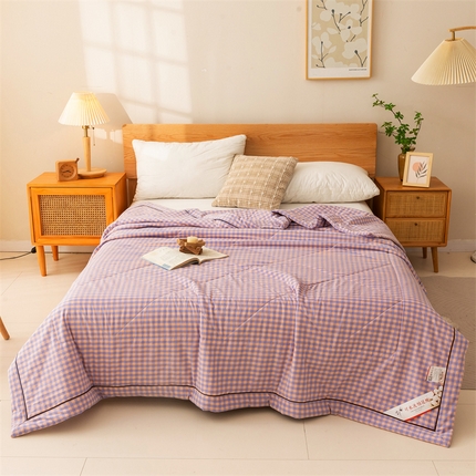 21度C 2024新款A类全棉色织水洗棉棉花夏被 梦幻紫