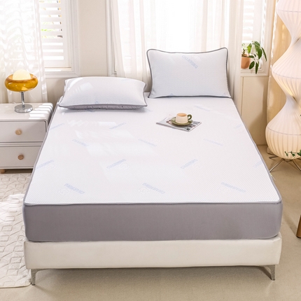 网客 2024新款冰豆豆床笠款凉席三件套 花朵款-湖水蓝