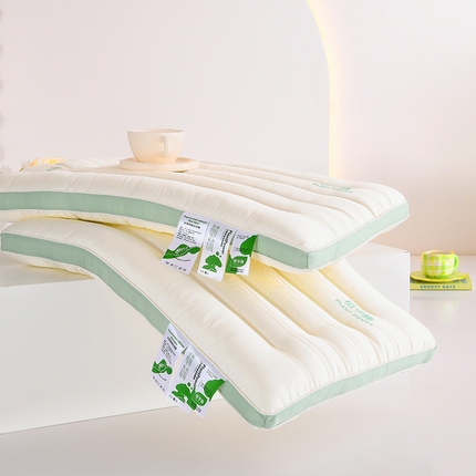（总）佩齐枕芯 2024新款全棉植享睡羽丝绒枕枕头枕芯