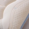 91家纺网 家纺一手货源 找家纺 （总）佩齐枕芯 2024新款牛奶丝冰蚕护颈枕羽丝绒枕枕头枕芯