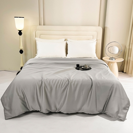 锦罗绣 2024新款80s奥地利进口兰精天丝单品被套 椰子灰