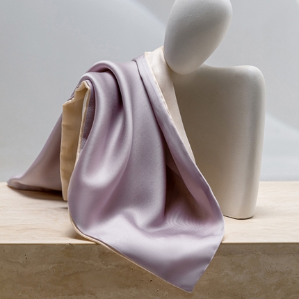 云栖家居 202460支A类兰精天丝系列单品枕套（风格一） 紫灰+香槟