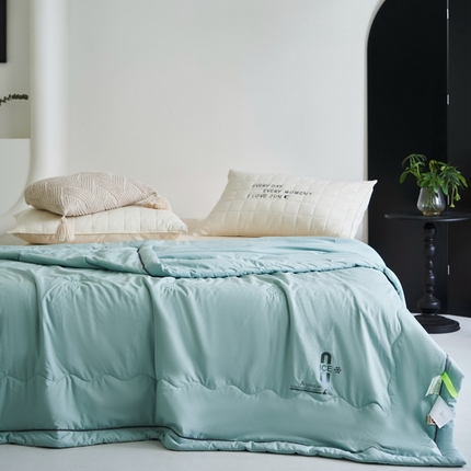 91家纺网 家纺一手货源 找家纺 米菲 2024新款亲肤舒适冰蝉丝科技被 夏被 被子被芯 青春兰