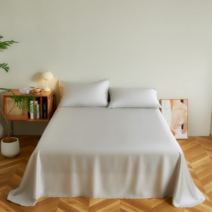 云栖家居 202460支A类兰精天丝系列单品床单（风格二） 银灰