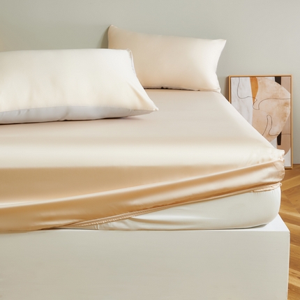 91家纺网 家纺一手货源 找家纺 云栖家居 202460支A类兰精天丝系列单品床笠（风格二） 香槟