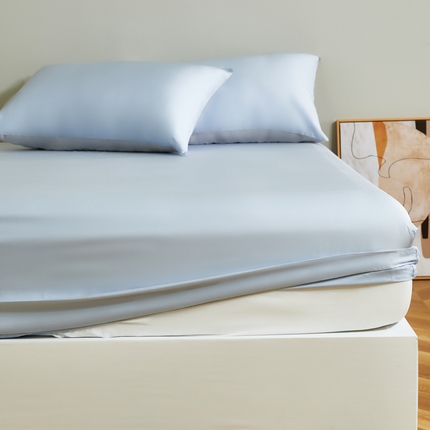 云栖家居 202460支A类兰精天丝系列单品床笠（风格二） 海兰