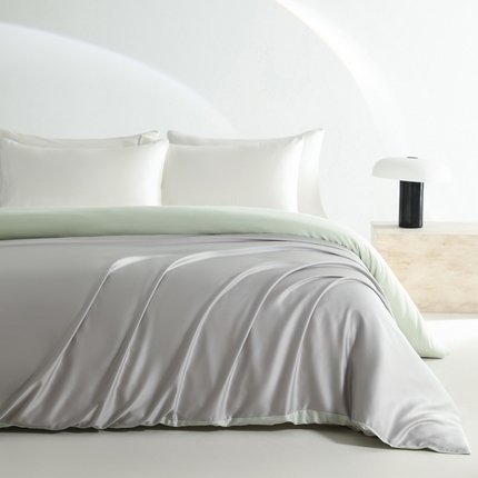 云栖家居 202460支A类兰精天丝系列单品被套（风格一）银灰&浅绿