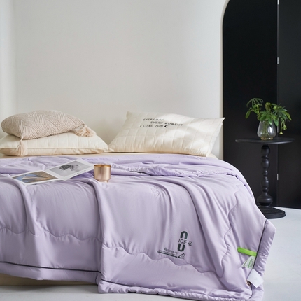 91家纺网 家纺一手货源 找家纺 米菲 2024新款亲肤舒适冰蝉丝科技被 夏被 被子被芯 葡萄紫