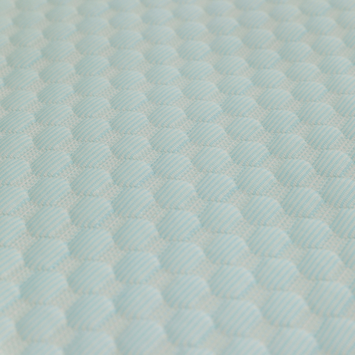 91家纺网 家纺一手货源 找家纺 宅部落 2024年新款凉感豆豆幼儿园幼婴儿儿童凉席 哈士奇-淡蓝