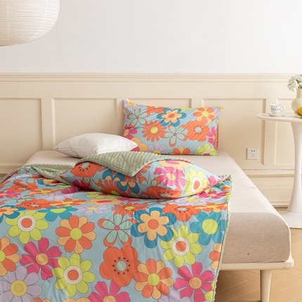 绒梦里 2024新款有氨印花小凉皮凉感冰豆豆夏被小清新儿童夏凉被空调被七彩花儿