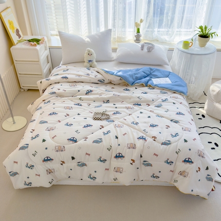 91家纺网 家纺一手货源 找家纺 （总）花言狐语 2025新款A类水洗泡泡棉大豆纤维夏凉被