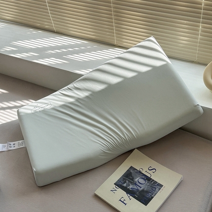 91家纺网 家纺一手货源 找家纺 （总）伟邦 2024新款果冻凉感生物基枕