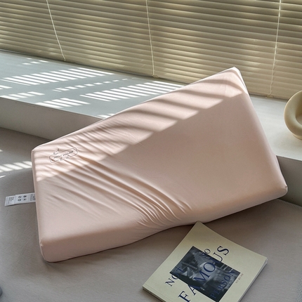 91家纺网 家纺一手货源 找家纺 （总）伟邦 2024新款果冻凉感生物基枕