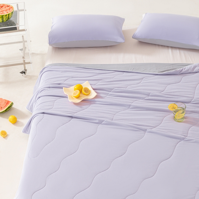 91家纺网 家纺一手货源 找家纺 佳居缘 2024新款西瓜冰柠被空调被夏被 香芋紫