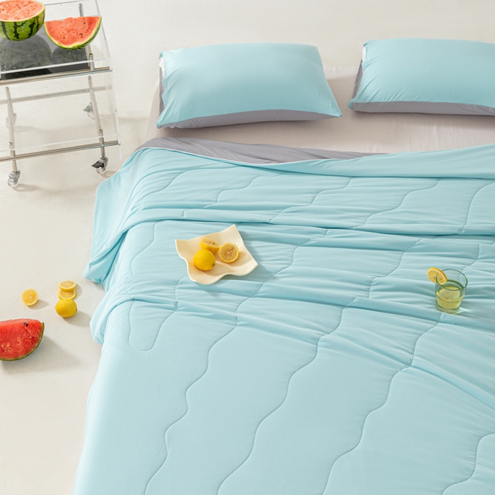 91家纺网 家纺一手货源 找家纺 佳居缘 2024新款西瓜冰柠被空调被夏被 天空蓝