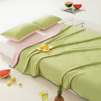 佳居缘 2024新款西瓜冰柠被空调被夏被 蜜瓜粉