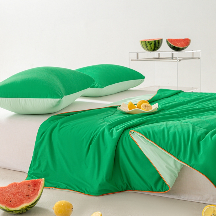 91家纺网 家纺一手货源 找家纺 佳居缘 2024新款西瓜冰柠被空调被夏被 西瓜绿