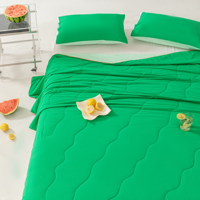 91家纺网 家纺一手货源 找家纺 佳居缘 2024新款西瓜冰柠被空调被夏被 西瓜绿